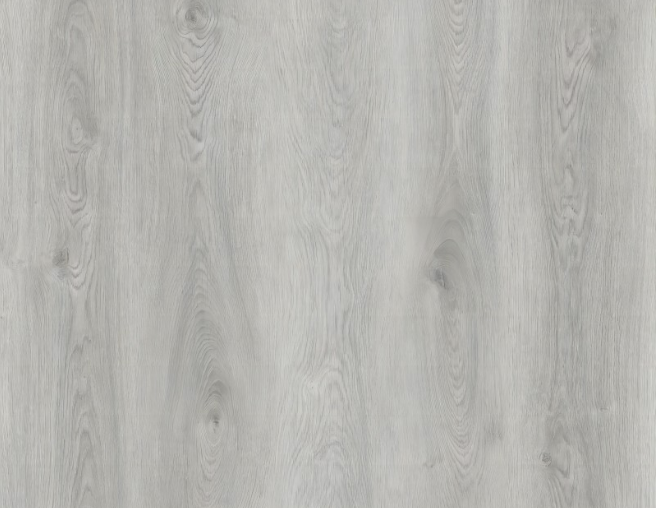 Charleson-SPC Atlantis