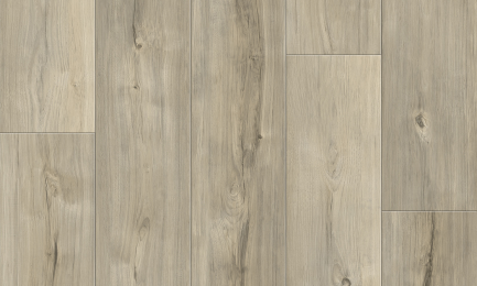 Jericho-SPC Atlantis